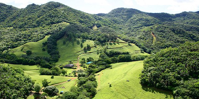 Day package ferney nature lodge (5)